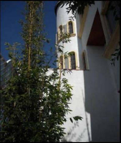 Welcome To Casa Viva Mexico 3-Bedrooms 2-Bathroms 6-Guests Close To Shoping Center & Beach Тіхуана Екстер'єр фото